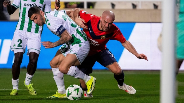 SK Rapid visit Omonia Nicosia (Bild: GEPA/GEPA pictures)