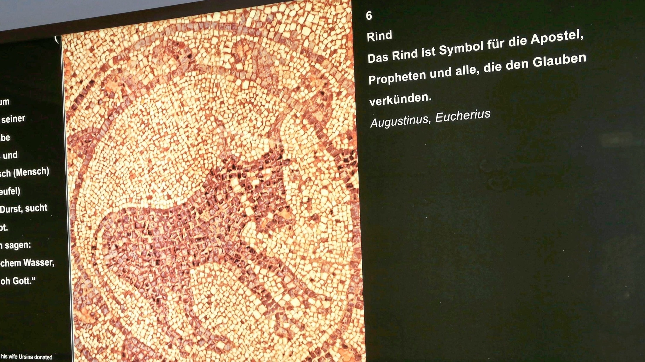 Die zwölf Felder des Mosaiks zeigen zahlreiche Tiere, die symbolisch für etwas stehen, was an Schautafeln in Teurnia erklärt wird. (Bild: Rojsek-Wiedergut Uta)