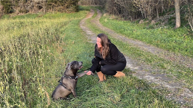 "Carlos" (formerly "Tyson") with his wife. (Bild: zVg.)