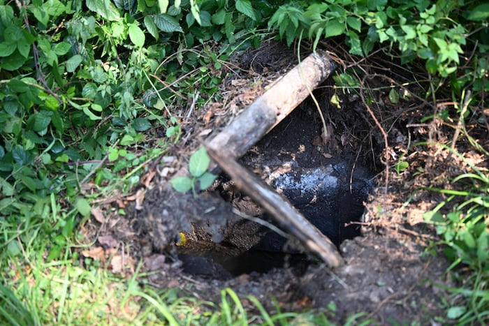 Kurt Koller and his son ran to a hidden manhole cover of a manhole, lifted it and helped Asna ...
