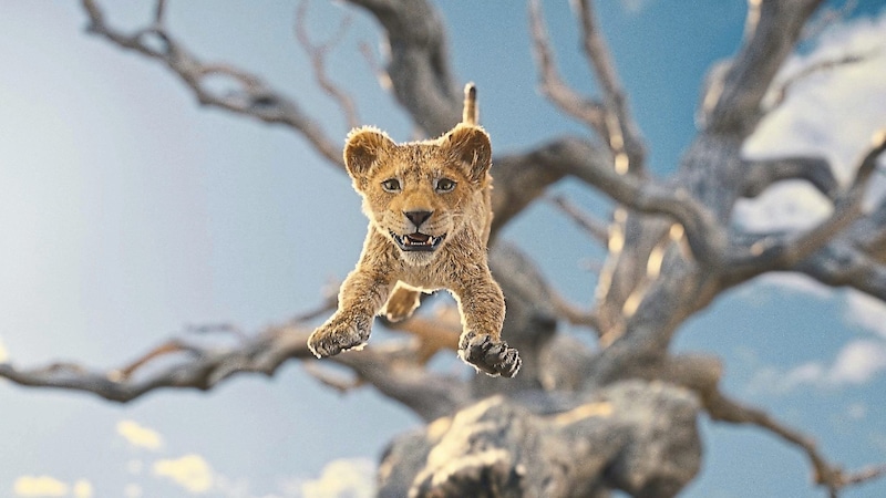 Der kleine Mufasa geht im gleichnamigen Film auf eine abenteuerliche Reise. (Bild: © 2024 Disney Enterprises, Inc. All Rights Reserved.)