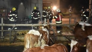 Vier Feuerwehren standen Freitagnacht im Einsatz