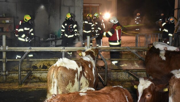 Vier Feuerwehren standen Freitagnacht im Einsatz (Bild: zema-medien.de)