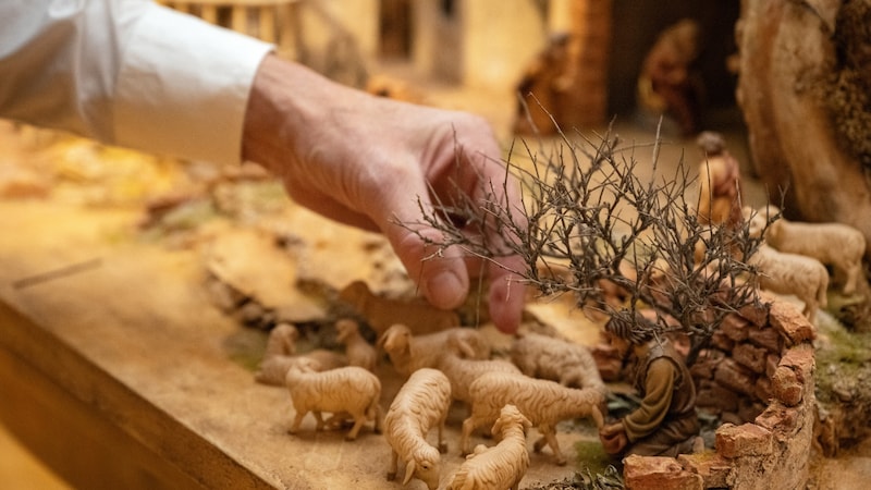 Auch die Botanik darf nicht fehlen. (Bild: Andreas Haller, Katholische Kirche Vorarlberg)