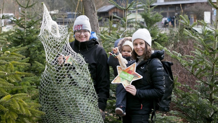 Preferably organic and regional: you can't go wrong with Christmas trees from Vorarlberg.