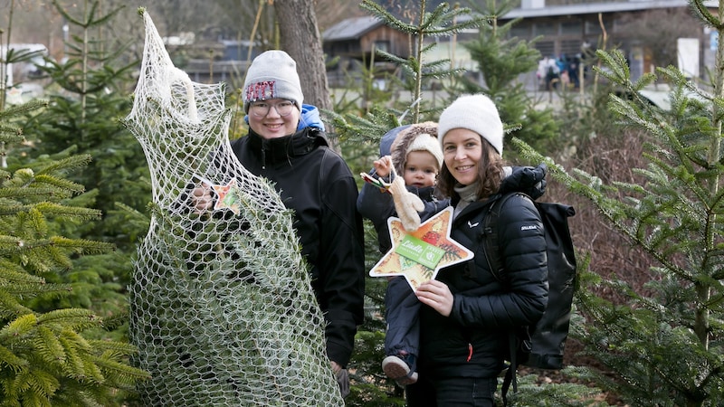 Preferably organic and regional: you can't go wrong with Christmas trees from Vorarlberg. (Bild: Mathis Fotografie)