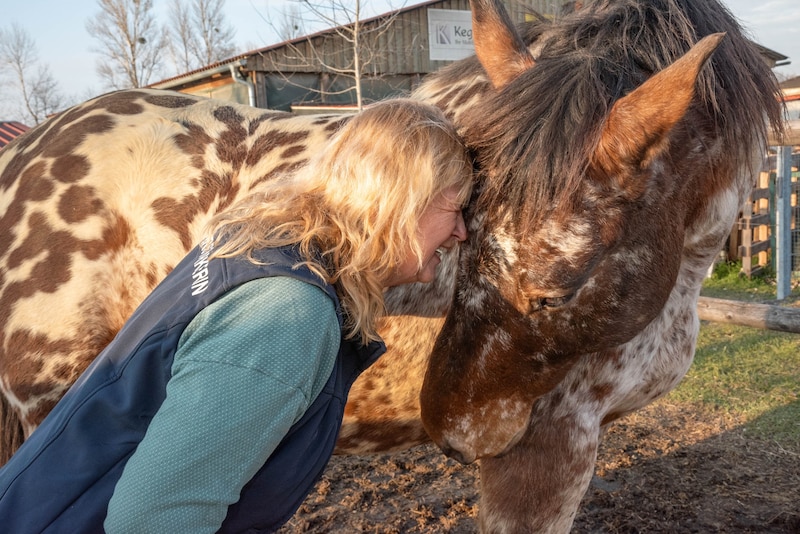 Es wird viel gekuschelt. Die Tiere am Therapiehof sind alle speziell ausgebildet und sehr gutmütig.  (Bild: Doris_SEEBACHER)