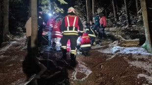 Rettung und Feuerwehr bargen den gestürzten Wanderer. (Bild: FF Lasberg, Krone KREATIV)