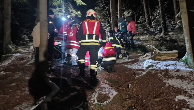 The rescue team and fire department recovered the fallen hiker. (Bild: FF Lasberg, Krone KREATIV)