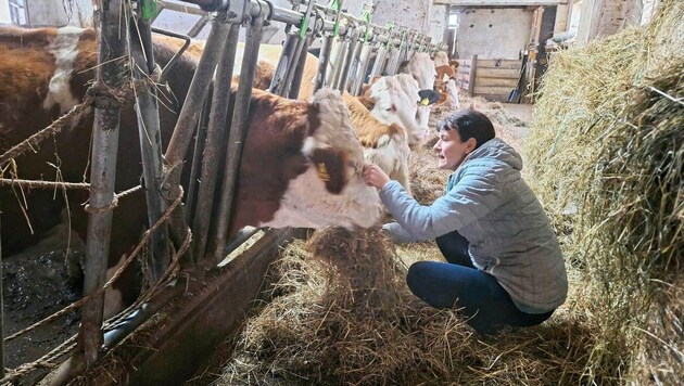 The farm business must continue, and the widow is trying to keep it going with her older children. (Bild: Christa Blümel)