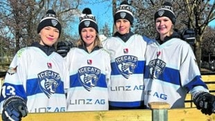 Die Ice Cats Linz sind der einzige Damen-Klub, welcher am Ligabetrieb teilnimmt. (Bild: Ice Cats)