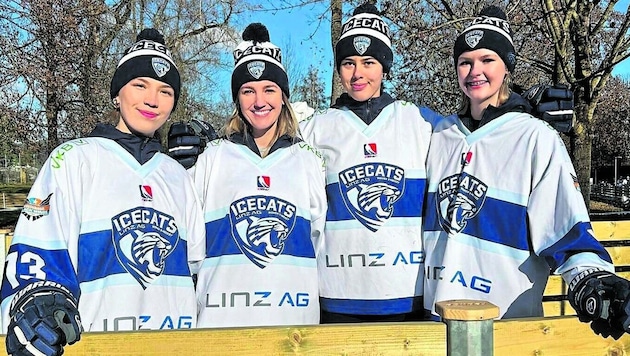 The Ice Cats Linz are the only women's club taking part in the league. (Bild: Ice Cats)