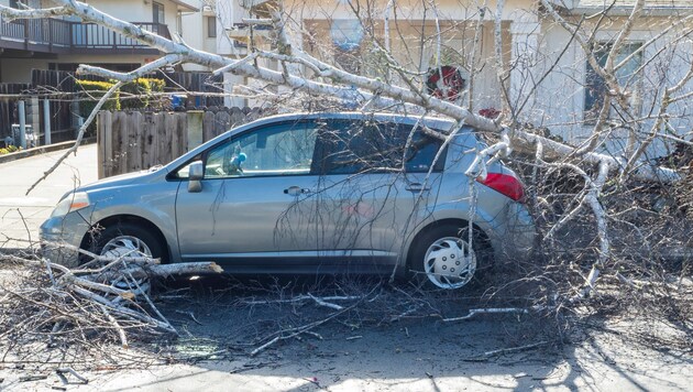 Ein Auto in der kalifornischen Stadt Monterey (Bild: AP/Nic Coury)