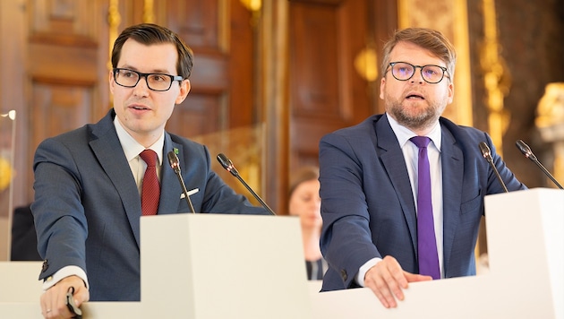 The two SPÖ members of parliament Stefan Hofer and Hannes Schwarz (photo montage). (Bild: Krone KREATIV/LT Stmk/Fischer)