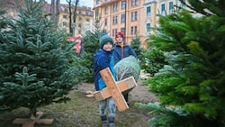 David und Valentin waren mit ihrer Mutter am Grazer Hasnerplatz und tragen den Baum ganz allein heim. (Bild: Pail Sepp)