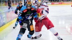 Schenkten sich nichts: Kristler (Linz) gegen Eisbulle Stapelfeldt. (Bild: GEPA pictures)