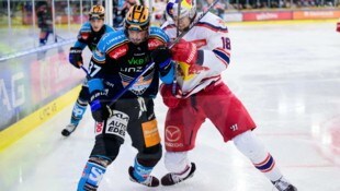 Schenkten sich nichts: Kristler (Linz) gegen Eisbulle Stapelfeldt. (Bild: GEPA pictures)