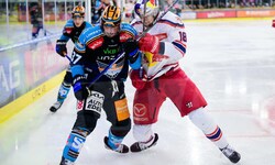 Schenkten sich nichts: Kristler (Linz) gegen Eisbulle Stapelfeldt.