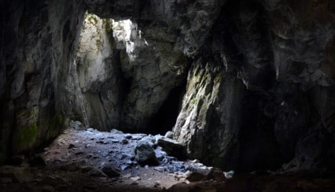 In Indien hat die Polizei eine Russin und ihre Kinder in einer Höhle entdeckt. Die Frau war vor ...