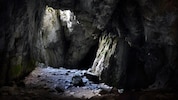 In Indien hat die Polizei eine Russin und ihre Kinder in einer Höhle entdeckt. Die Frau war vor ...