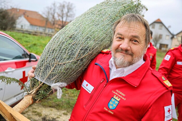 The Red Cross helpers also had Christmas trees for the flood victims.