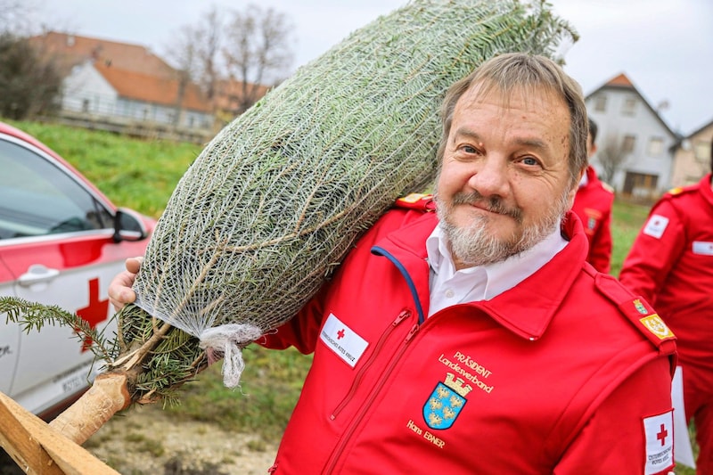 The Red Cross helpers also had Christmas trees for the flood victims. (Bild: Markus Hechenberger)