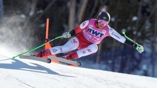 In Beaver Creek hat Daniel Danklmaier im Super G Rang neun geholt. (Bild: GEPA/GEPA pictures)