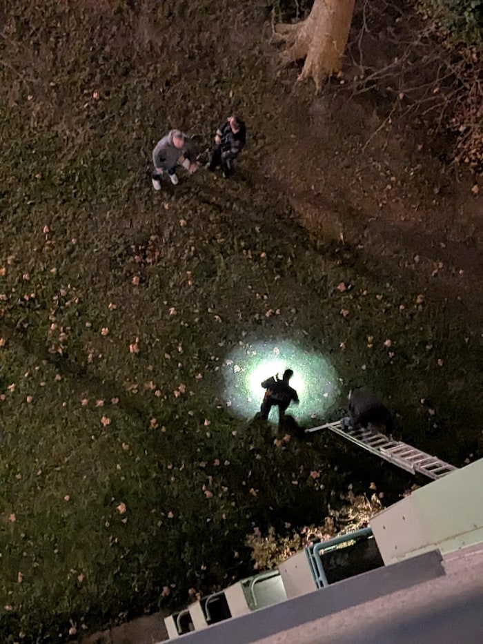When the criminal investigation department arrived, they found a ladder and tools for the ...