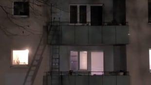 Mittels dieser Leiter soll der Dieb auf den Balkon im zweiten Stock der Gemeindebauwohnung gelangt sein.  (Bild: Leserreporter)