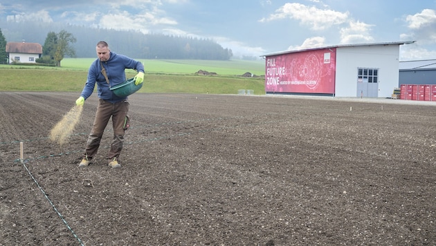 Die zuletzt als Parkplatz genutzte Fläche wird renaturiert. (Bild: Fill Maschinenbau)