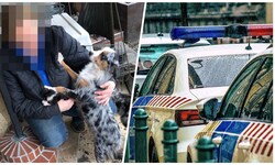Brigitta M. (links) narrte wochenlang die Behörden. Letzte Woche klickten nun die Handschellen. 