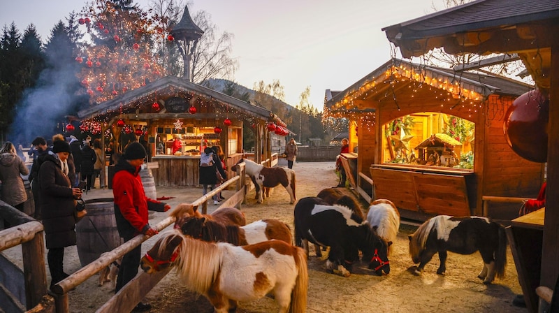 Christmas market at Gut Aiderbichl (Bild: Tschepp Markus)