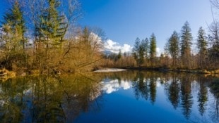 Frühwinter am renaturierten Almbach – das Gebiet zwischen Hallein und Adnet wurde 2016/17 als Schutz vor Hochwasser renaturiert. Inwieweit in Zukunft Renaturierung stattfinden wird, bleibt fraglich. (Bild: Uwe Grinzinger)