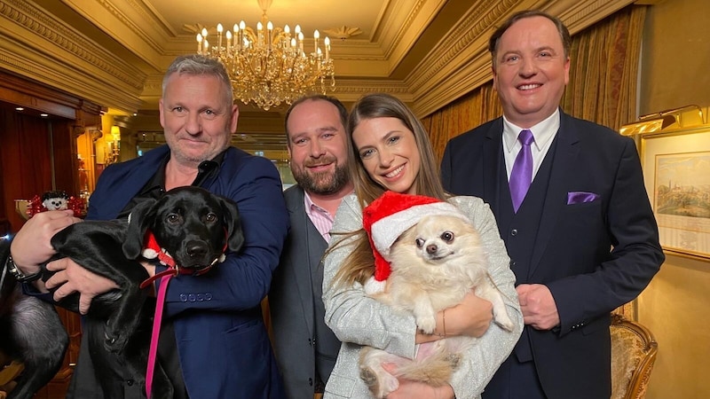 Erich Vogl mit Anneliese, Christoph Haselmayer, Tanja Pfaffeneder mit El Chapo, Bernd Hinteregger (von links nach rechts) (Bild: krone.tv)