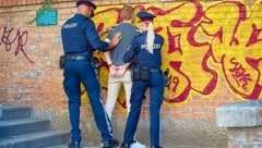 Ein Fünf-Punkte-Plan soll Kinder in Wien von der Kriminalität wegbringen .
