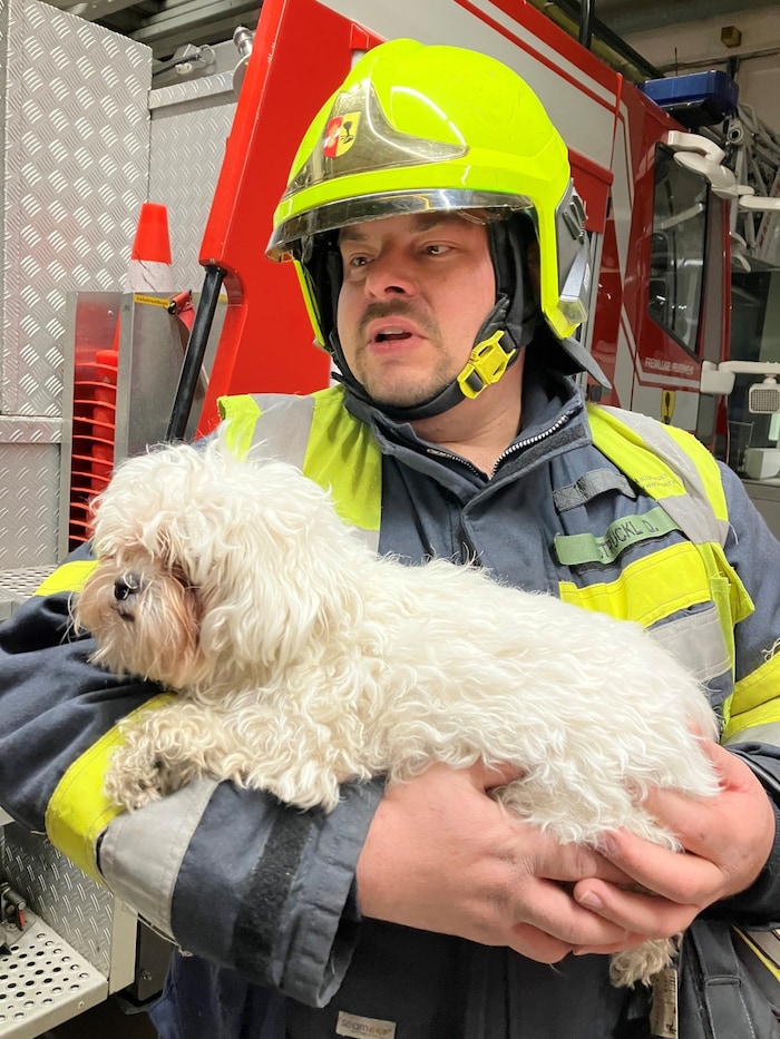 Daniel Struckl mit „Luna“