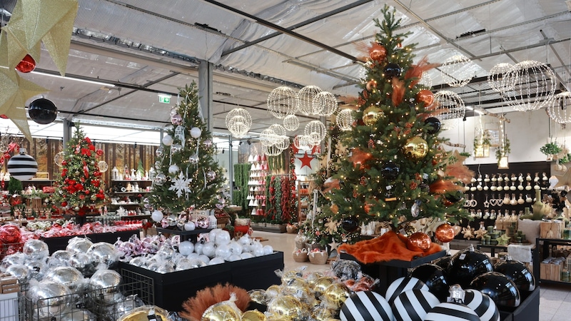 In puncto Weihnachtsprodukte tobte man sich voll aus: Kunden können aus dem Vollen schöpfen. (Bild: bellaflora Gartencenter GmbH)