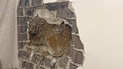 Die zertrümmerte Wand mit dem Wurzelstock.
