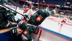 Mangelnden Kampfgeist konnte man den Eisbullen (Hochkofler hinten) in Karlstad sicher nicht ...