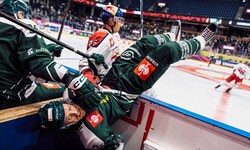 Mangelnden Kampfgeist konnte man den Eisbullen (Hochkofler hinten) in Karlstad sicher nicht ...