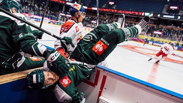 Mangelnden Kampfgeist konnte man den Eisbullen (Hochkofler hinten) in Karlstad sicher nicht vorwerfen. (Bild: 2024 EC Red Bull Salzburg)