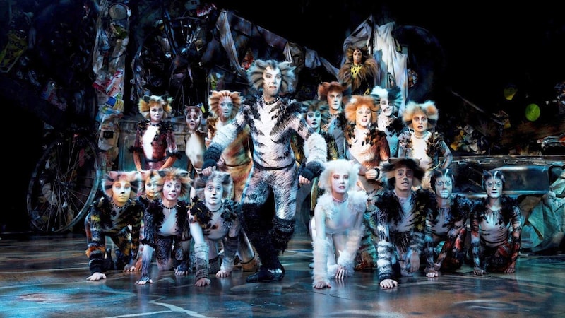 „Cats“ gilt als das erfolgreichste Musical aller Zeiten. Die deutschsprachige Erstaufführung fand in Wien statt – es lief 7 Jahre lang ohne Unterbrechung. (Bild: Alessandro Pinna)