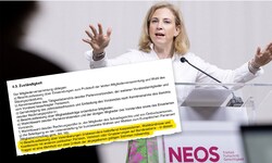 Die pinke Frontfrau Beate Meinl-Reisinger müsste den Pakt für die Zuckerl-Koalition intern ...
