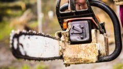 Der Unfall passierte beim Holzschlägern