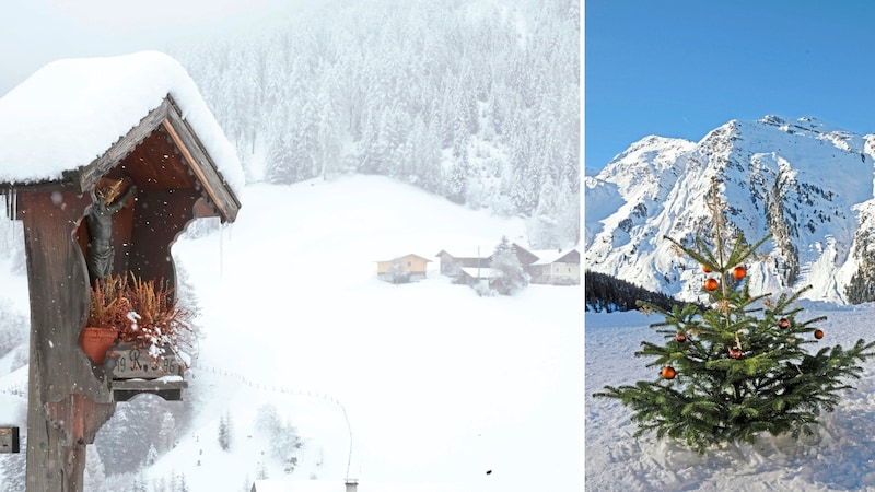 Tief verschneit: In den Tiroler und Salzburger Bergen soll zu Weihnachten viel Schnee liegen.   (Bild: Peter Freiberger, Christof Birbaumer)