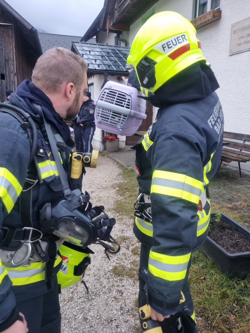 Eine Katze wurde zu Lebensretter. (Bild: ff-badischl.at)