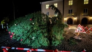 Der Baum war mitten in der Nacht umgefallen. (Bild: Shourot)