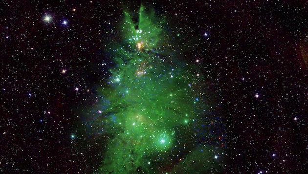 „Leuchtende Sterne erhellen ,Weihnachtsbaum-Sternhaufen‘“: So hat die US-Raumfahrtbehörde NASA dieses Bild betitelt. (Bild: NASA)