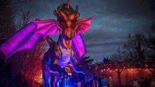 Beeindruckende Drachenfiguren ziehen die Besucher demnächst in Schloss Neugebäude in ihren Bann.  (Bild: EMS Entertainment)