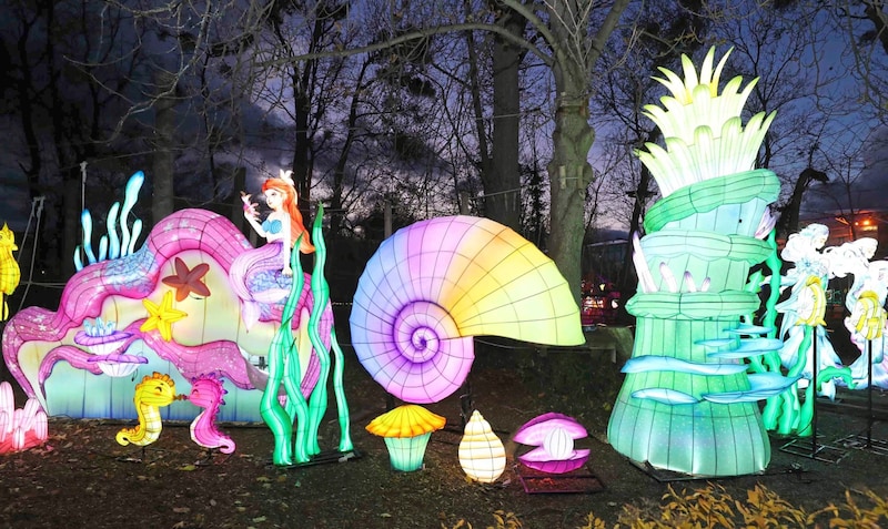 Mermaids in luminous underwater worlds in Tattendorf's Dumba Park. (Bild: Reinhard Judt)